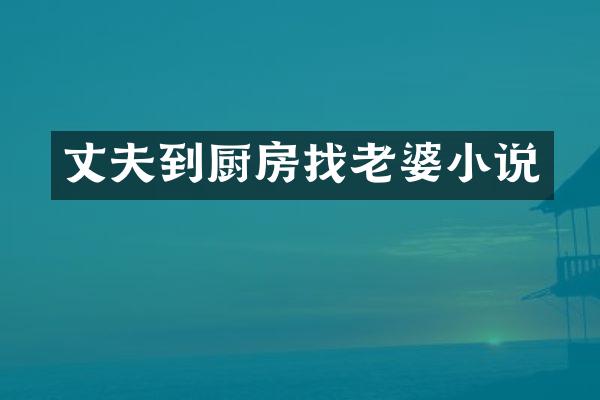 丈夫到厨房找老婆小说