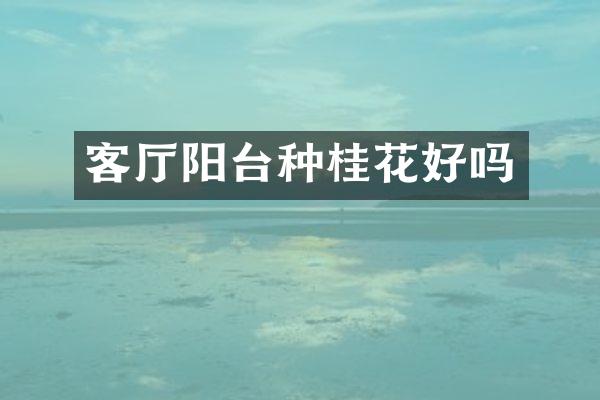 客厅阳台种桂花好吗