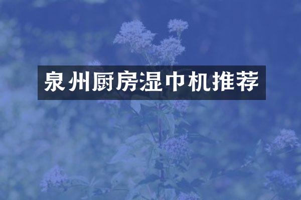 泉州厨房湿巾机推荐