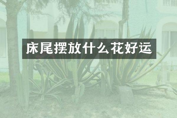 床尾摆放什么花好运