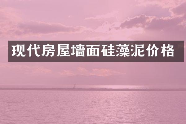 现代房屋墙面硅藻泥价格