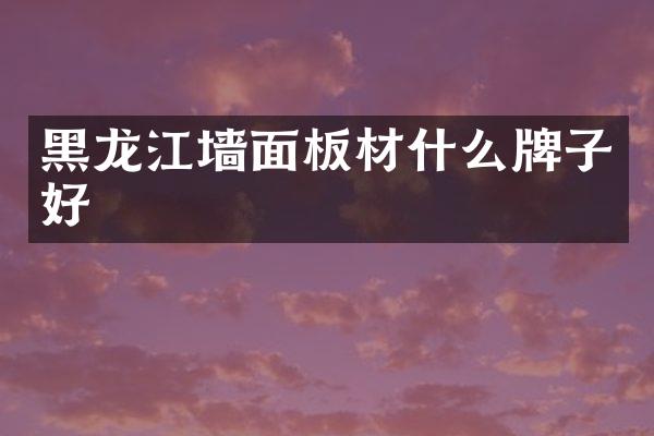 黑龙江墙面板材什么牌子好