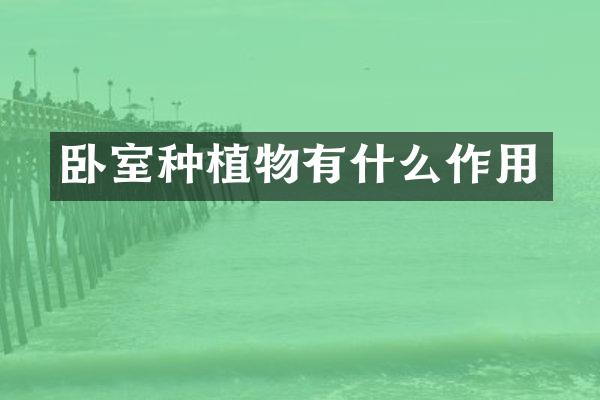 卧室种植物有什么作用