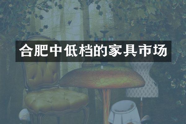 合肥中低档的家具市场