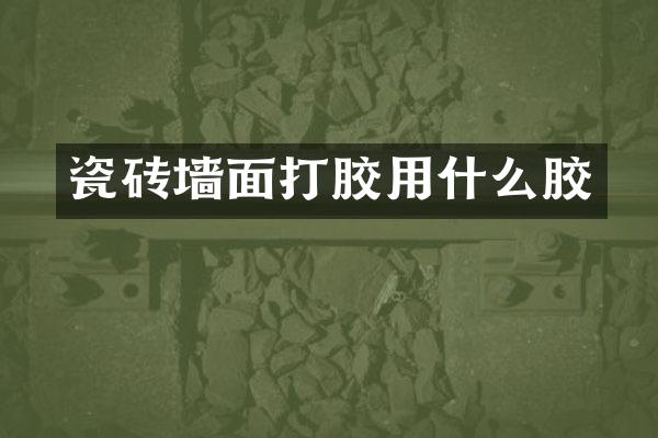 瓷砖墙面打胶用什么胶