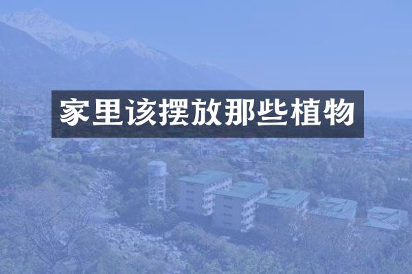 家里该摆放那些植物