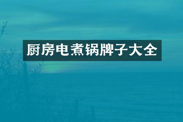 厨房电煮锅牌子大全