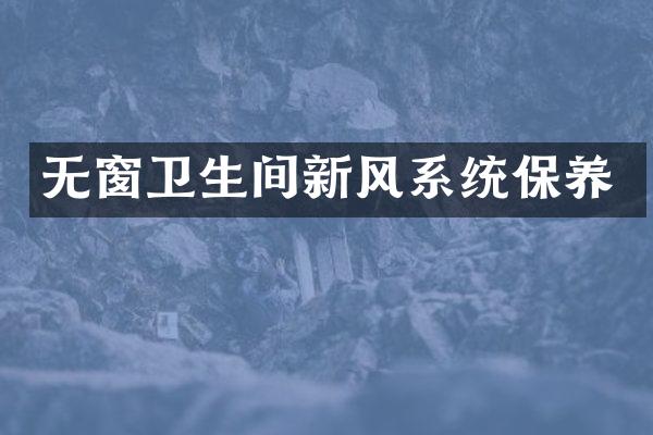 无窗卫生间新风系统保养