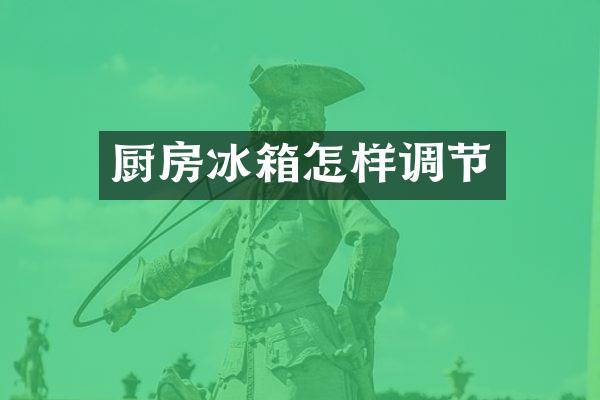 厨房冰箱怎样调节