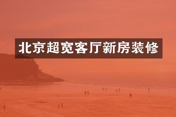 北京超宽客厅新房装修