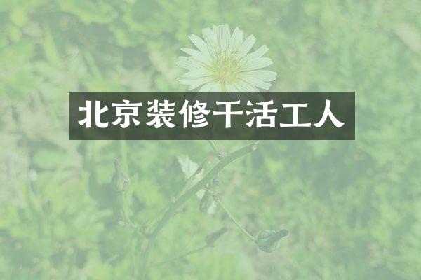 北京装修干活工人