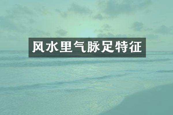 风水里气脉足特征