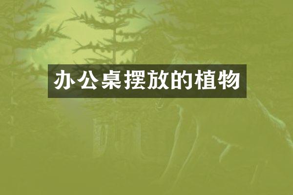 办公桌摆放的植物