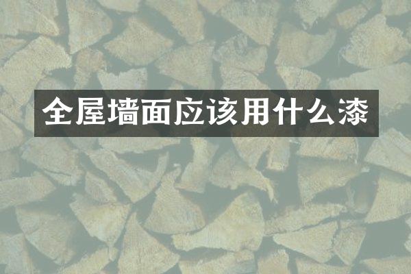 全屋墙面应该用什么漆