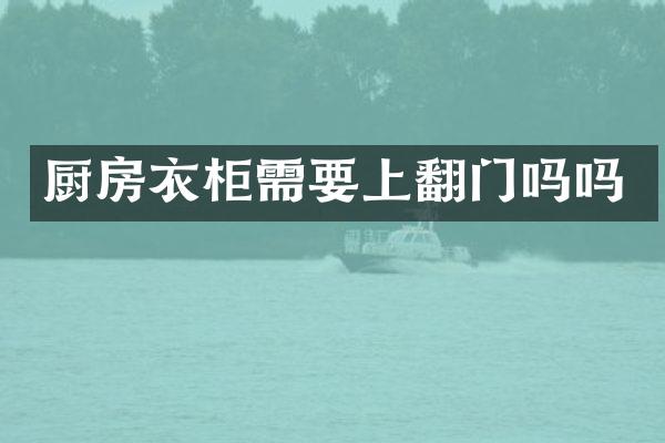 厨房衣柜需要上翻门吗吗
