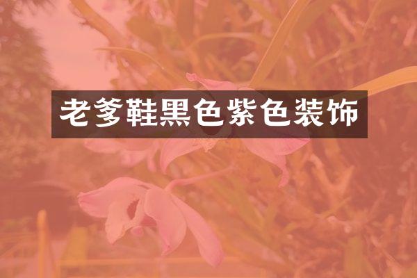 老爹鞋黑色紫色装饰
