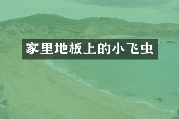 家里地板上的小飞虫