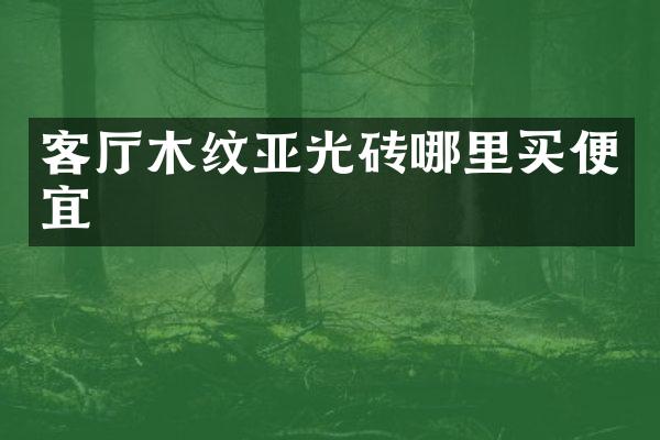 客厅木纹亚光砖哪里买便宜