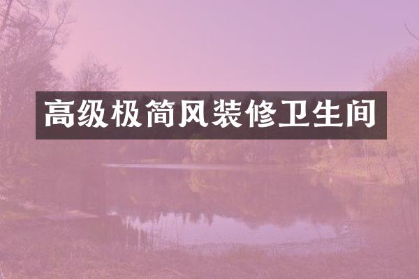 高级极简风装修卫生间