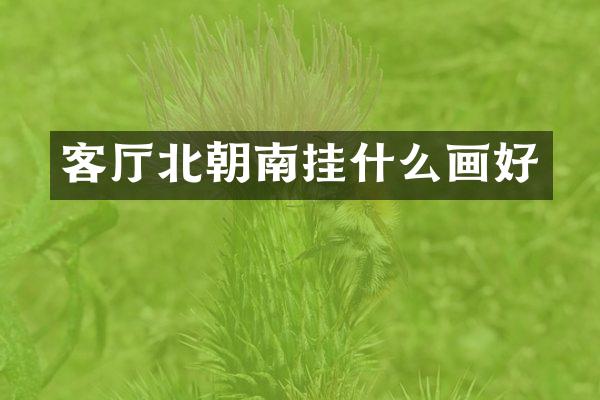客厅北朝南挂什么画好