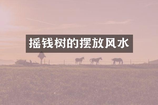 摇钱树的摆放风水