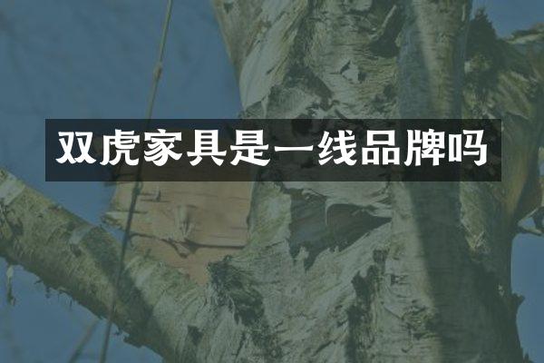 双虎家具是一线品牌吗
