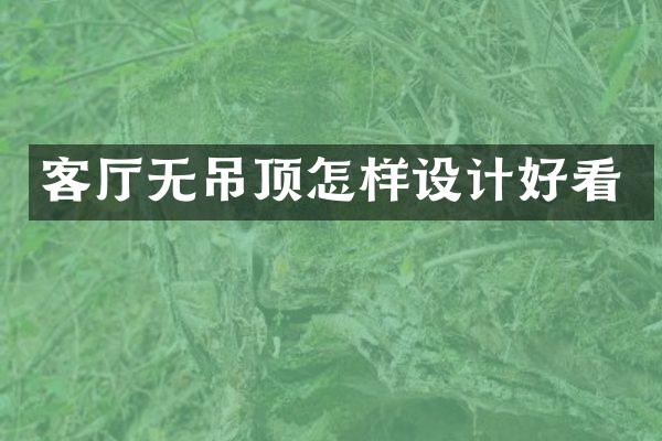 客厅无吊顶怎样设计好看