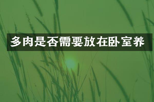 多肉是否需要放在卧室养
