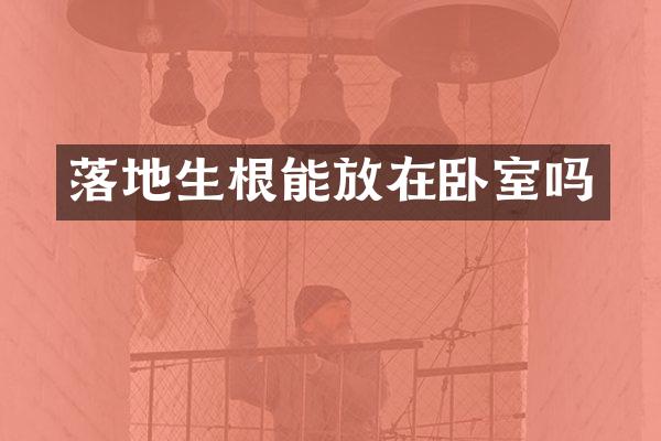 落地生根能放在卧室吗