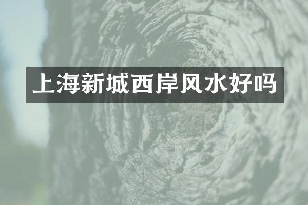 上海新城西岸风水好吗