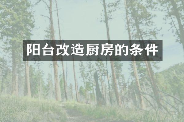 阳台改造厨房的条件