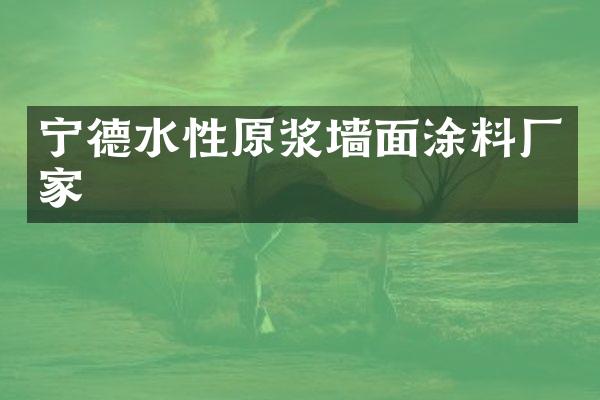 宁德水性原浆墙面涂料厂家
