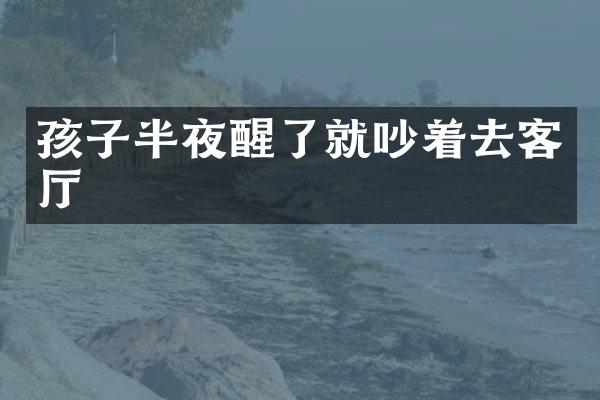 孩子半夜醒了就吵着去客厅