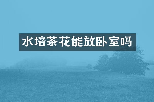 水培茶花能放卧室吗