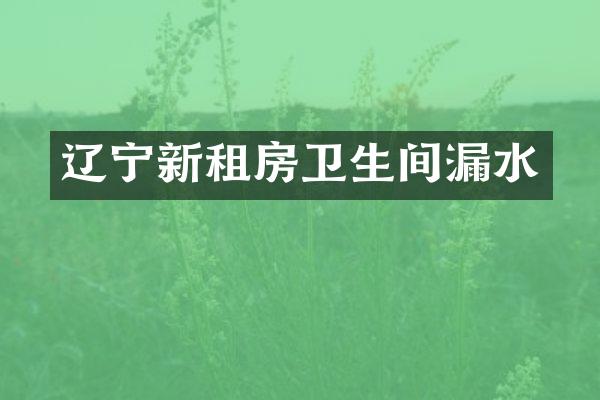 辽宁新租房卫生间漏水