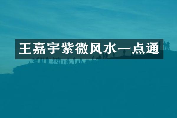 王嘉宇紫微风水一点通