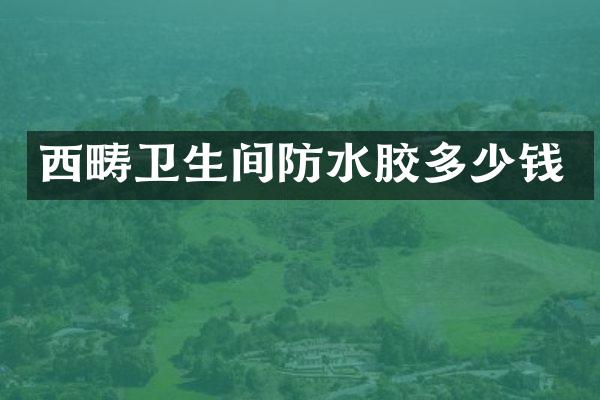 西畴卫生间防水胶多少钱