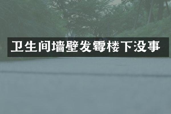 卫生间墙壁发霉楼下没事