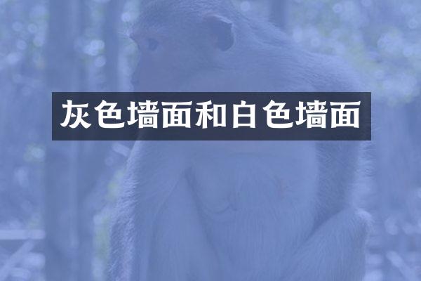 灰色墙面和白色墙面