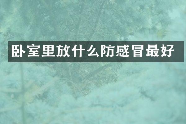 卧室里放什么防感冒最好