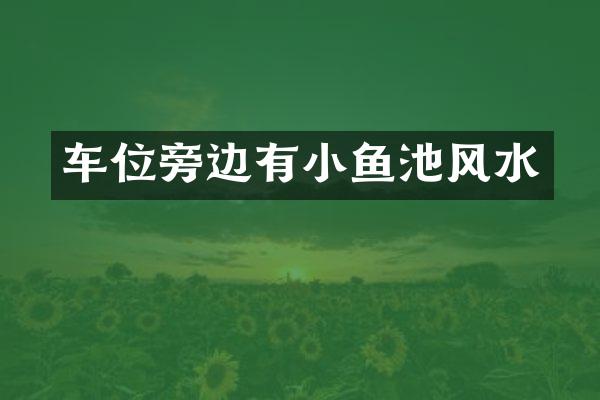 车位旁边有小鱼池风水