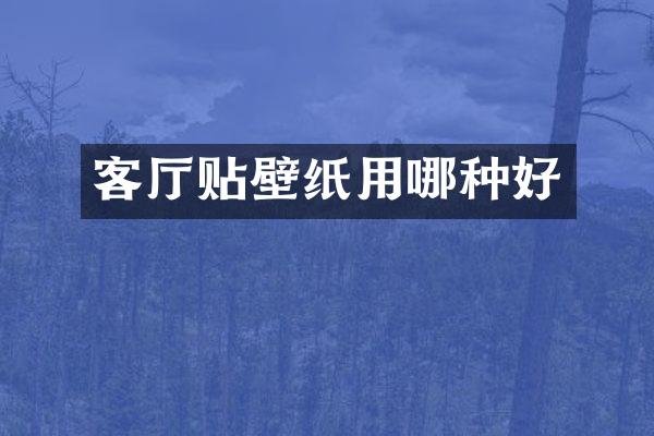 客厅贴壁纸用哪种好