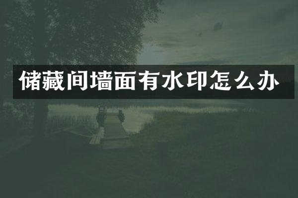 储藏间墙面有水印怎么办