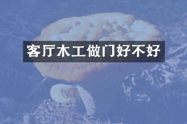 客厅木工做门好不好
