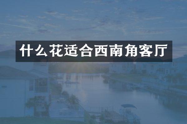什么花适合西南角客厅