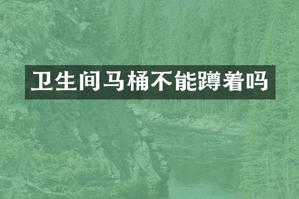 卫生间马桶不能蹲着吗