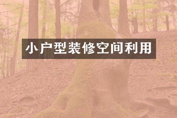 小户型装修空间利用