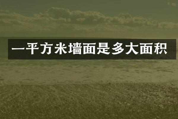 一平方米墙面是多大面积