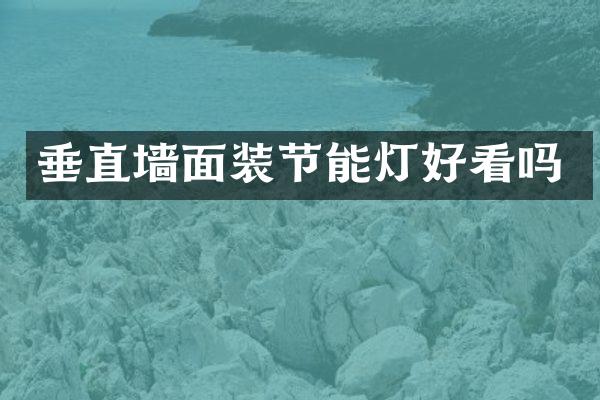 垂直墙面装节能灯好看吗
