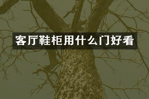 客厅鞋柜用什么门好看